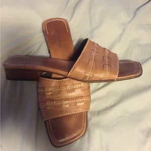 Sesto size 12 slides